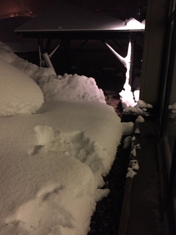 登府屋旅館 露天風呂