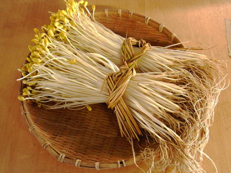 小野川豆もやし