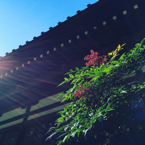 玉川寺