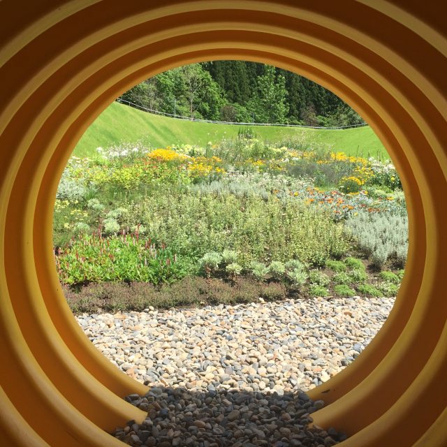 ウフウフファーム