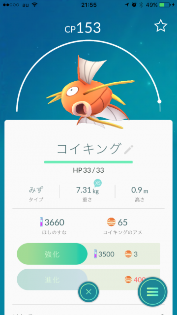 魚の目