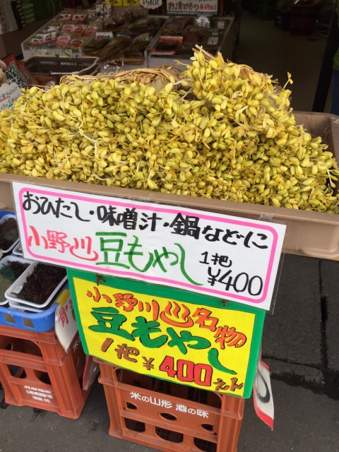 豆もやし