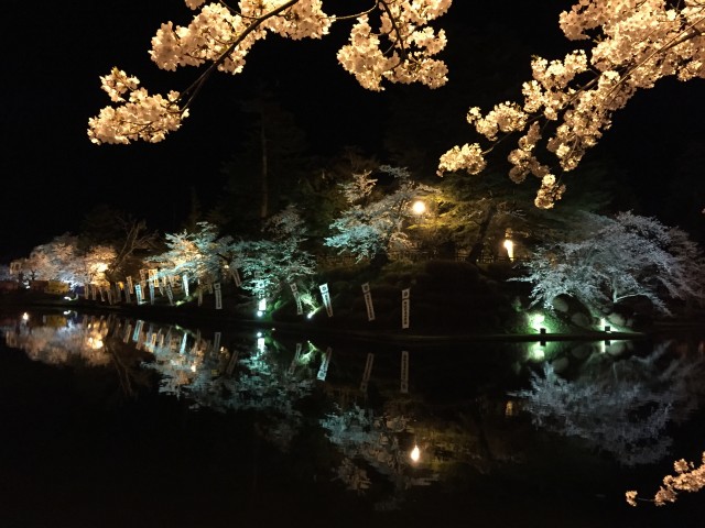 上杉神社の桜