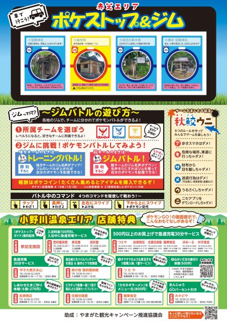 ポケモンＧＯ　チラシ