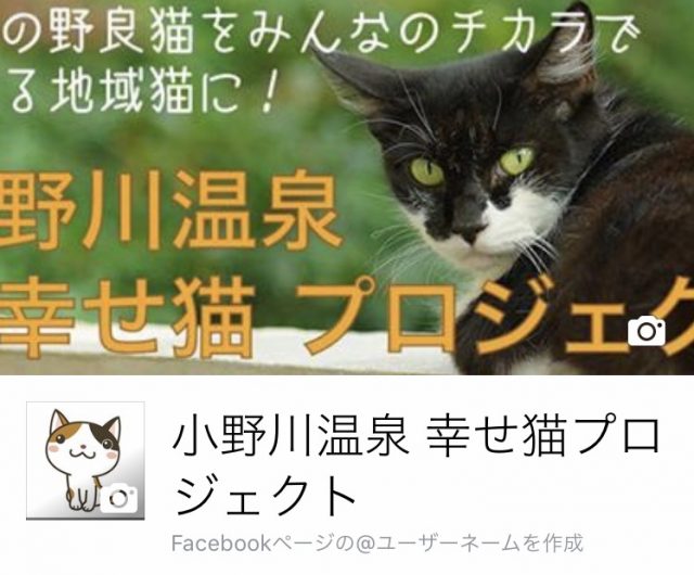 小野川温泉 幸せ猫プロジェクト ｆｂページできました 鈴の宿 登府屋旅館