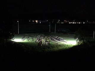 田んぼアート