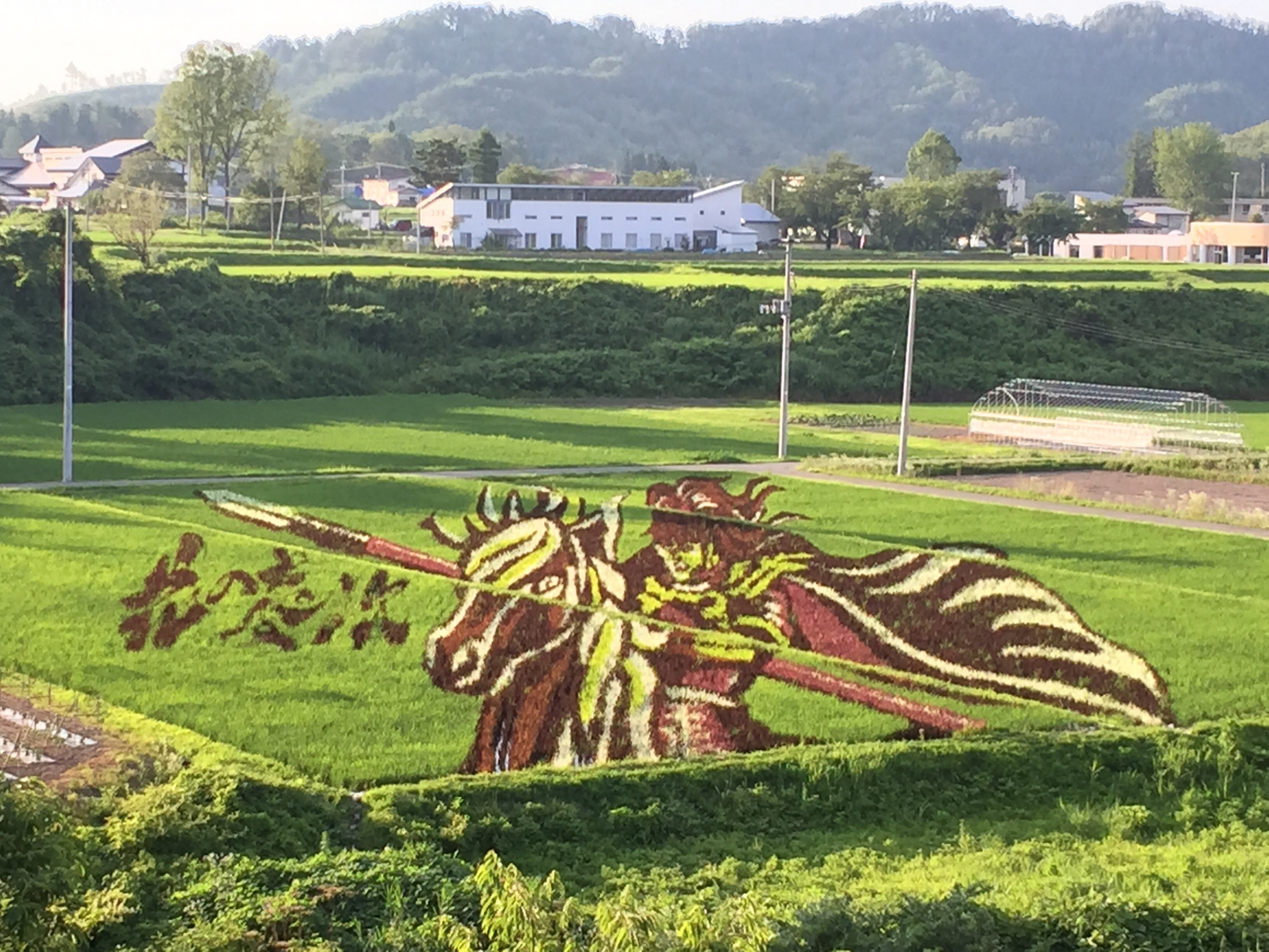 田んぼアート