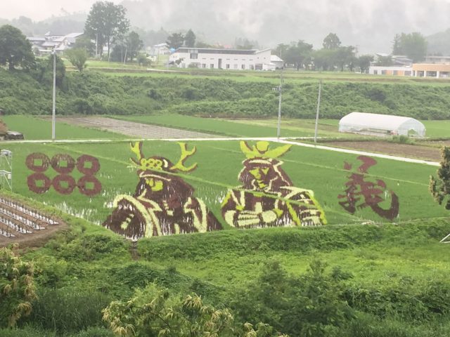 田んぼアート