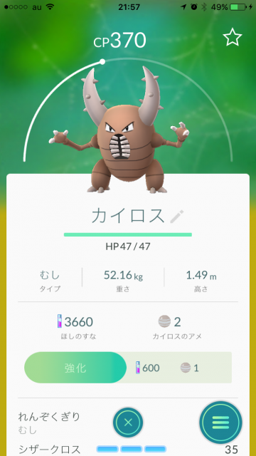 虫の目
