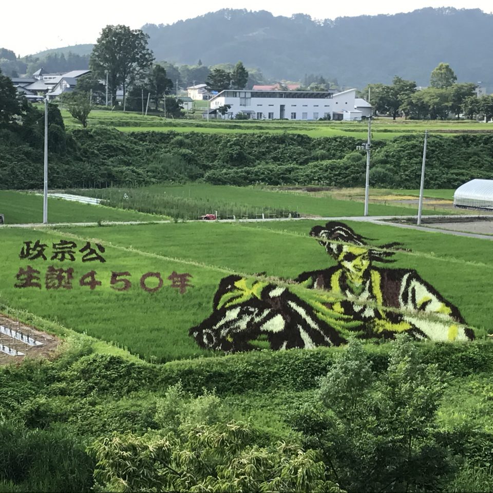 Arte en los arrozales que representa al señor samurái Date Masamune en la cuenca de Okitama